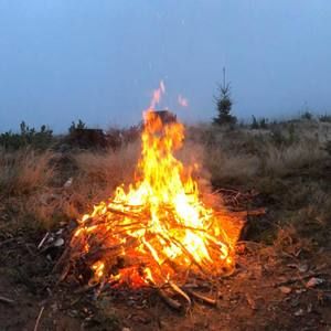 Meet your Posher, Dena